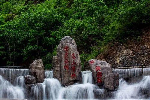 探索世界的为什么芒果tv不能一起看了,发现万千奇趣